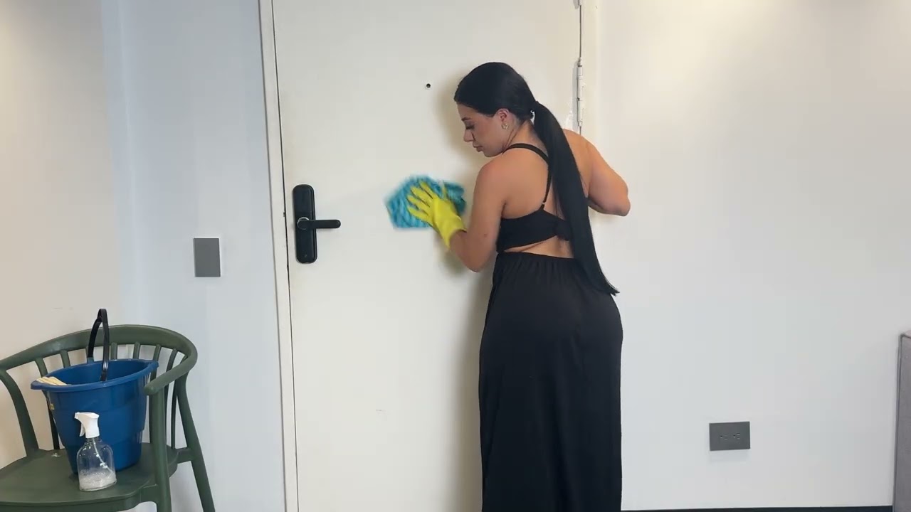 DOOR CLEANING