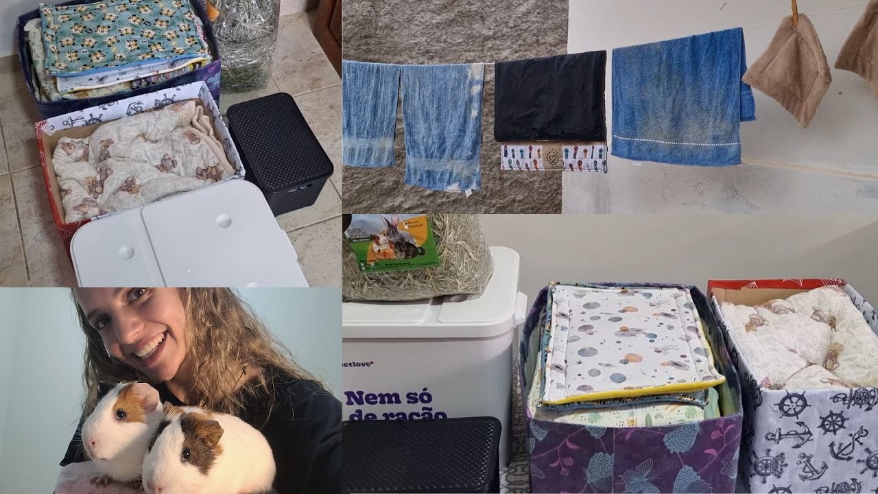 VLOG: TOUR por TUDO que eu tenho dos meus porquinhos da índia! #enxovalpet