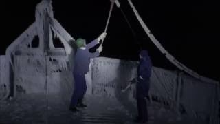 ARANDA  Trailer HD Net Worth