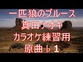 一匹狼のブルース/真田ナオキ カラオケ練習用  原曲♭1