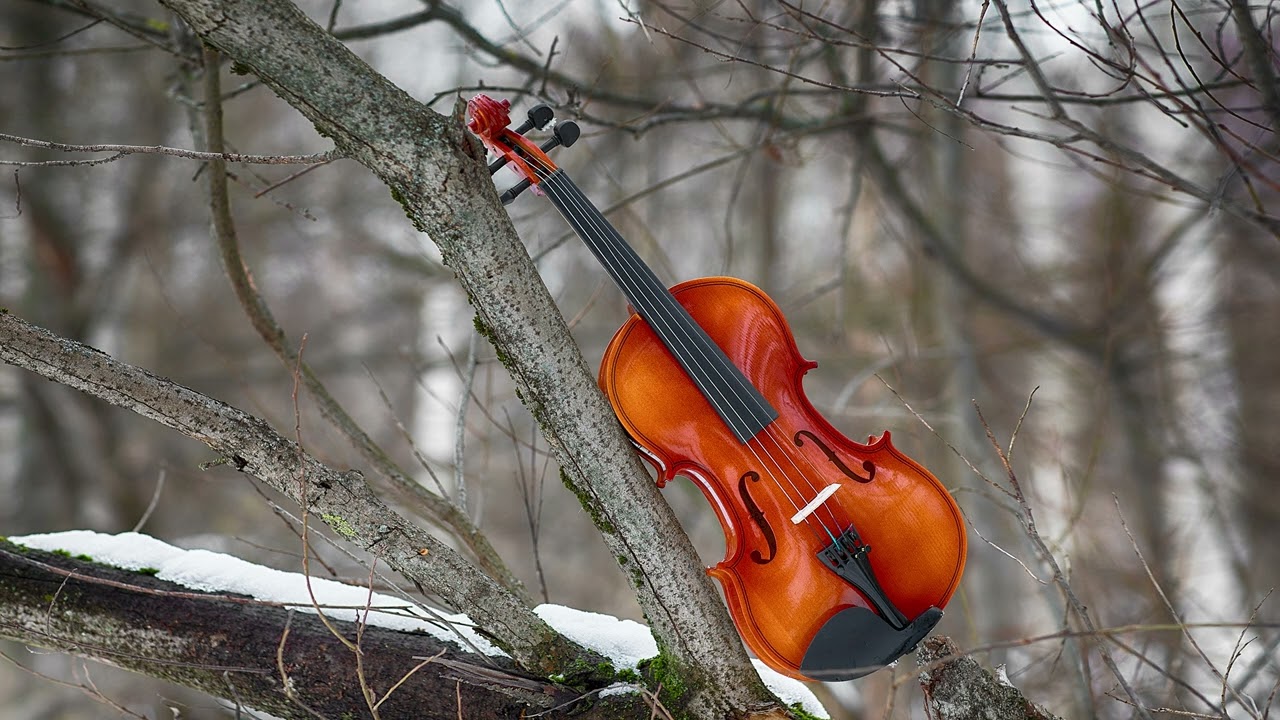 Ecveezer - Care And Affection (Violin Music for Sleep | Soothing Violin Music)