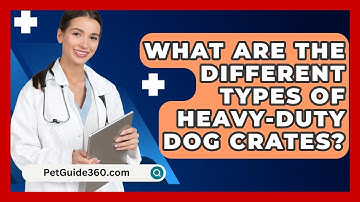 What Are The Different Types Of Heavy-duty Dog Crates? - PetGuide360.com