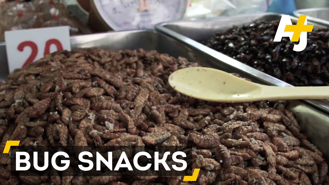 Are Bugs Europe's Next Big Snack Food?