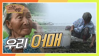 [Hometown Theater Revisited] Please stop my 80-year-old mother from going out to work at sea, KBS...