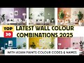 Best Wall Colour Combination for Living Room|Asian Paints Colour Combination|Wall Colour Combination