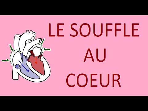 Vidéo: Les chiens souffrant de souffle cardiaque peuvent-ils être élevés ?