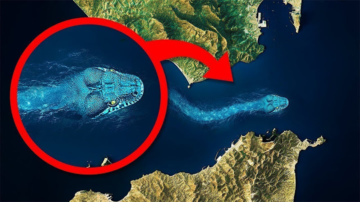 Por Esta Razón No Hay Un Puente Entre Europa y Africa