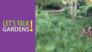 Native Grasses and Sedges: Smart Choices for Better Landscapes