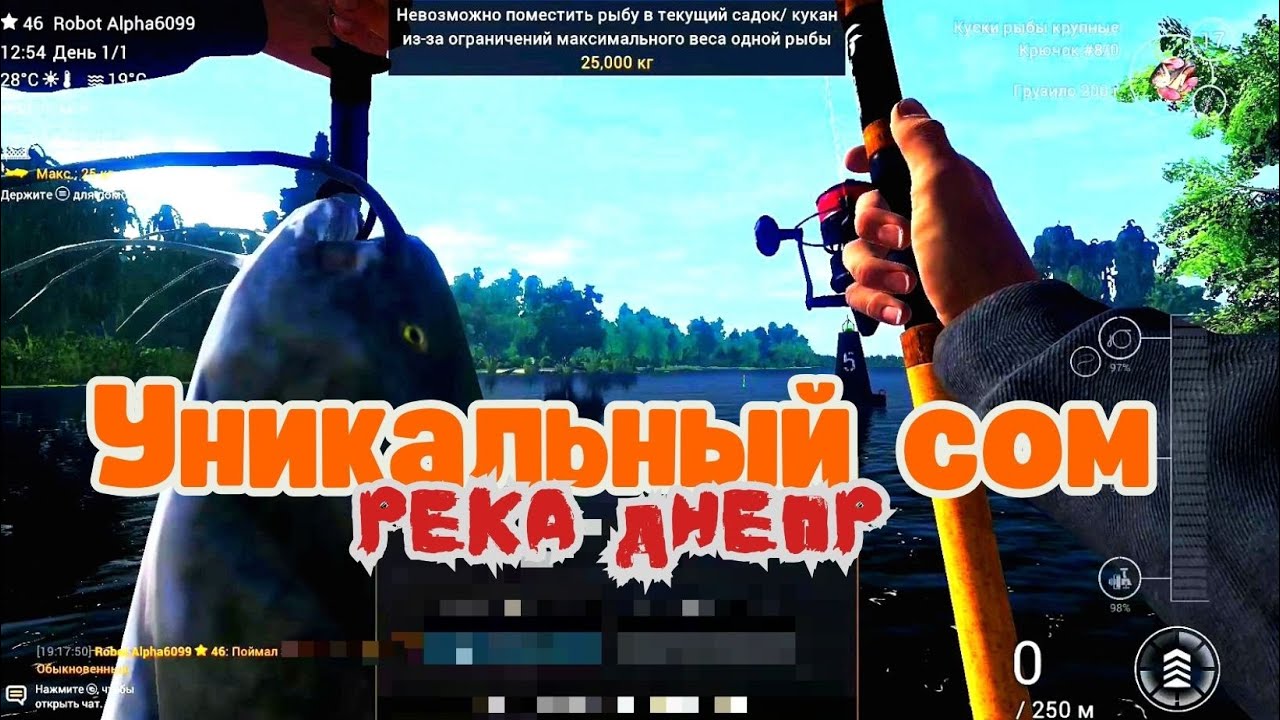 Уникальный Сом на реке Днепр | Fishing Planet 2025