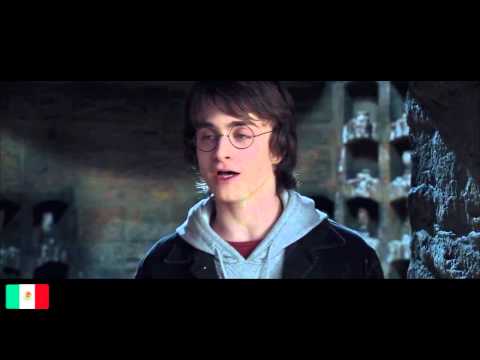 The Goblet Of Fire Harry Multilanguage 