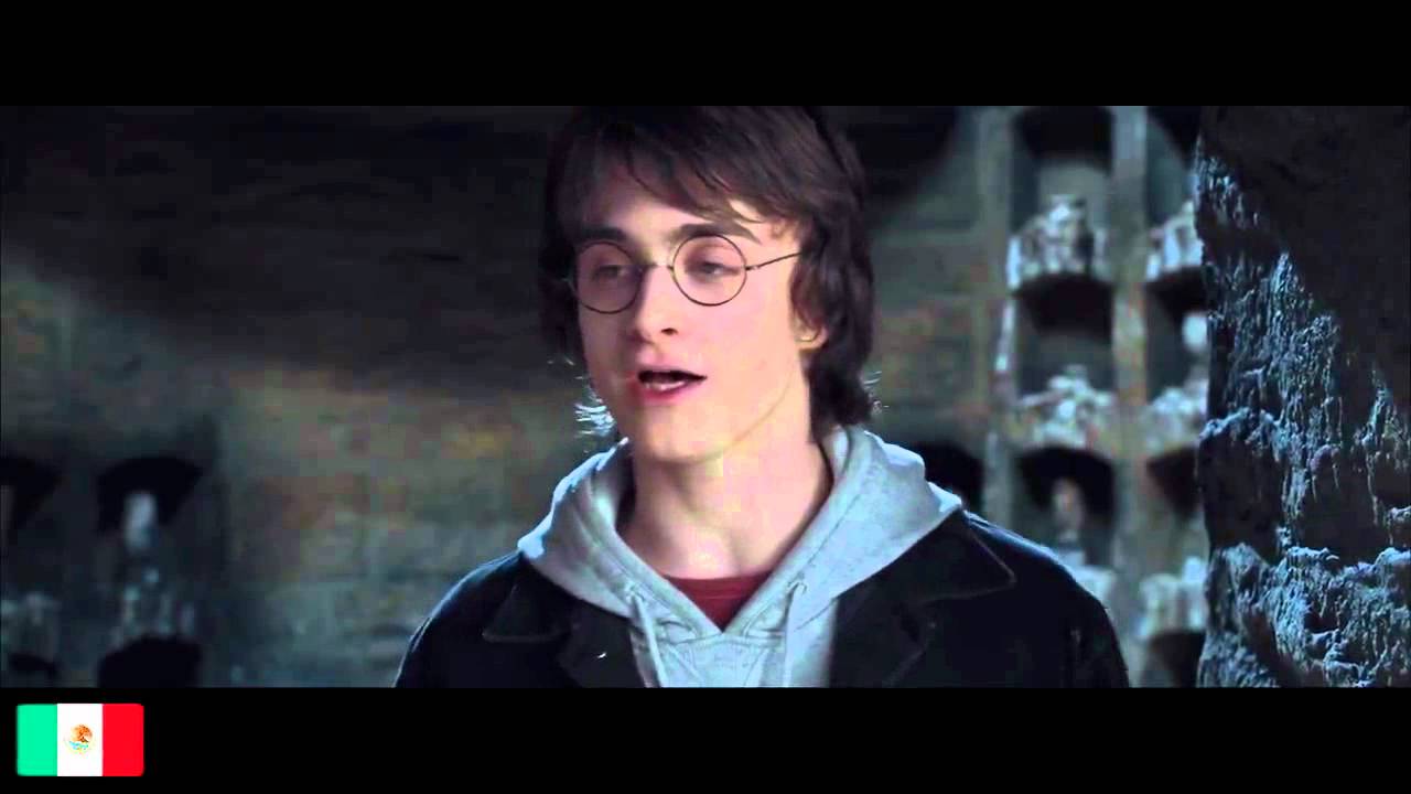The Goblet of Fire - Harry Multilanguage