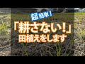 超簡単な田植え！耕さない「不耕起の田植え」をします！