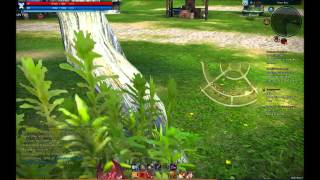 Bug in Tera Online