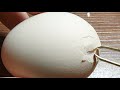 RAW EGG PEELING LIVE