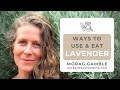 Ways to grow and use Lavender with Morag Gamble