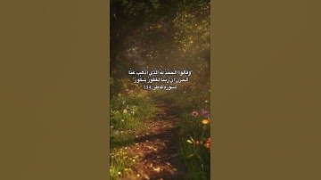 سورة فاطر اية 34🎀🤭 #allahﷻallahﷻ #اكسبلور #لايك #ترند