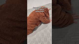 Az Ye Ayı Gibi Olursun Lafını Ciddiye Almamışındıt