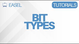 Easel Software Tutorial: Bit Types