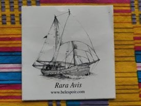 Rara Avis avril 2023