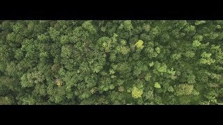 screenshot of the youtube video