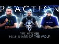 The Witcher: Nightmare of the Wolf | Official Teaser REACTION!!