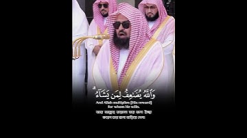تلاوة مباركة خاشعة بصوت يلامس القلوب #اكسبلور #المصحف #حالات_واتس #القران #خطبه #دويتو #راحة_نفسية