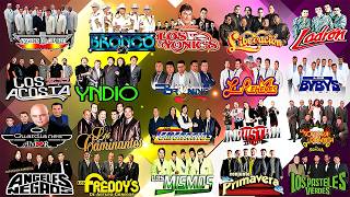 LOS TEMERARIOS, LOS ACOSTA, BRYNDIS, BYBYS, Y MÁS ~ GRANDES ÉXITOS CUMBIA ~ 40 RECUERDOS DEL AYER