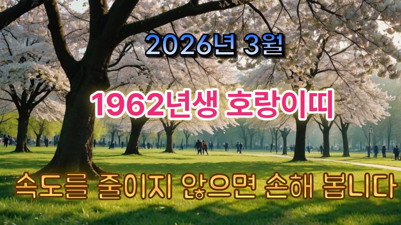 [1962년생 호랑이띠] 2026년 3월, 속도를 줄이지 않으면 손해 봅니다.