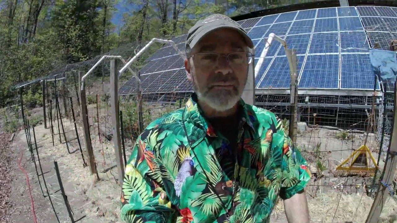 LEAF Festival with Earthshine Nature Programs - Spring 2020 V-LEAF