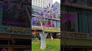 Giant Purple Flowers