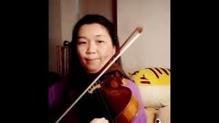 Kabhi Khushi Kabhie Gham.-Violin Cover