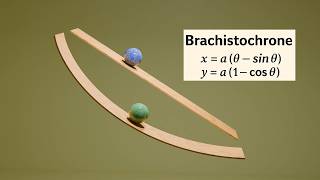 Brachistochrone Curve demonstration using Blender 5 and Python