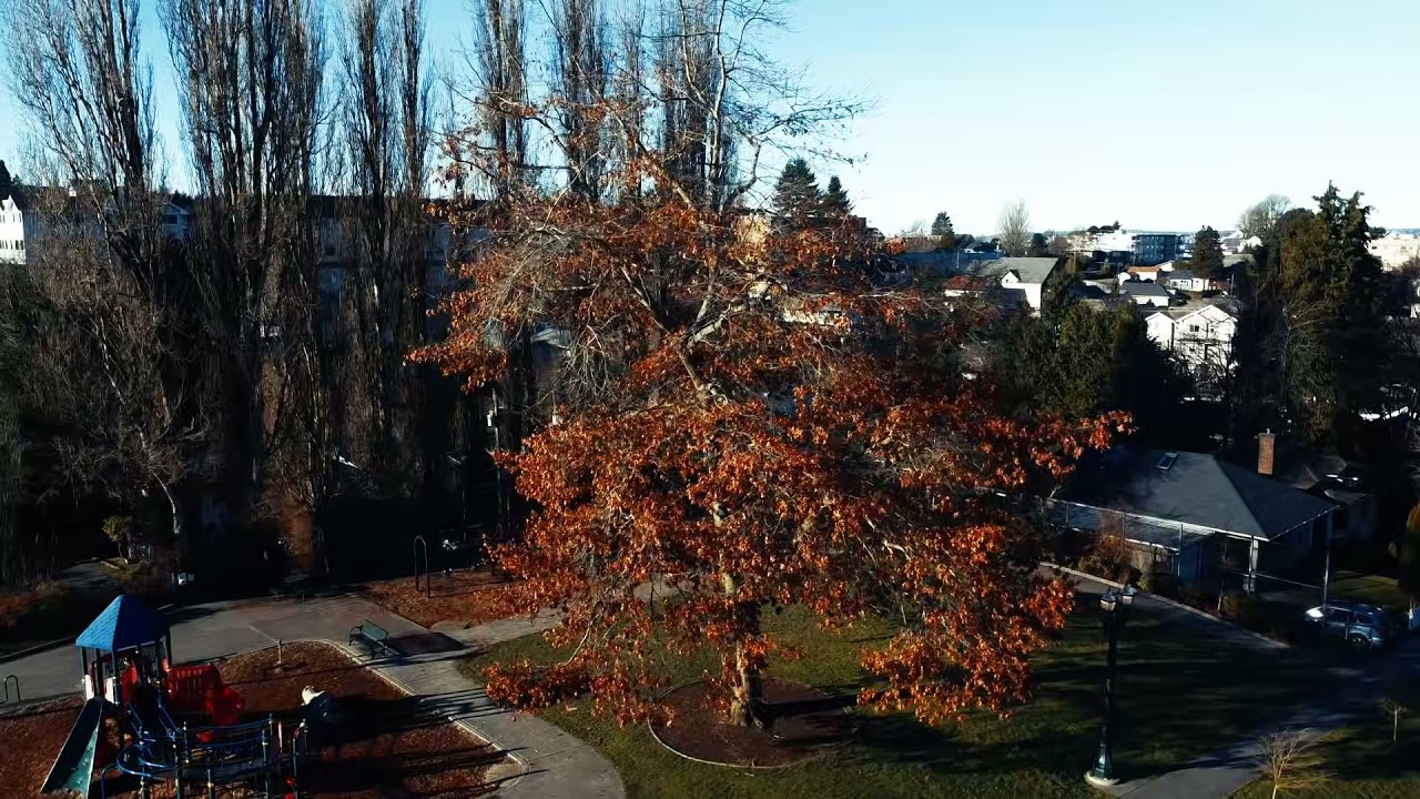 Drone Video: Kiwanis Park in Everett, WA