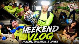 Catching Prawns with the Fam / Kalo irrigation / Oio wonton Dinner / Hawaii weekend vlog
