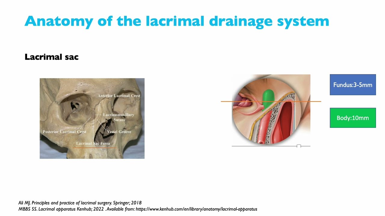 Anatomy of Lacrimal Drainage System