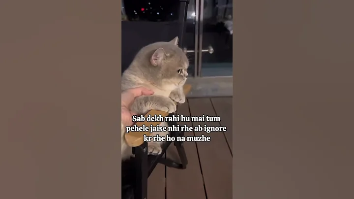 Watch the video about 😒😑 #viralvideo #cat #ytstudioes #youtubeshorts #funny #catlover #ytshorts #cute #trending #romantic