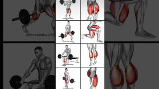 Leg Workout Home 4X20 4 Exercise