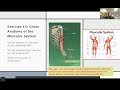 A&P I Lab Practical 3 Review
