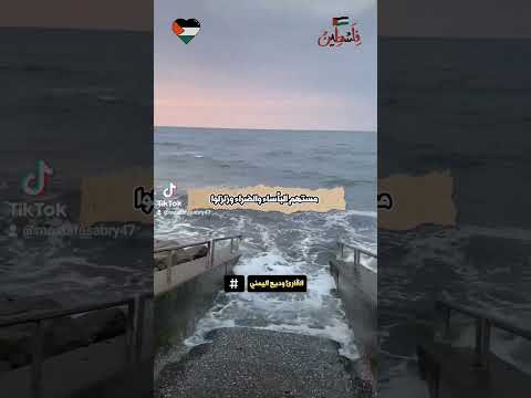 حتى يقول الرسول والذين آمنوا معه متى نصر الله ألا إن نصر الله قريب تلاوات قرآنية مع الله