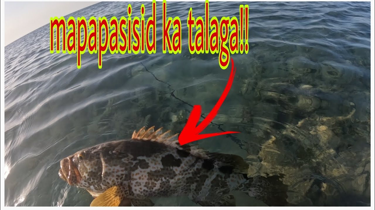 Sumiksik sa bato kaya kailangan sumisid!!