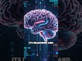 AI Models Revolutionize Cybersecurity