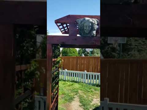 Garden Arbor or Japanese Torii Gate