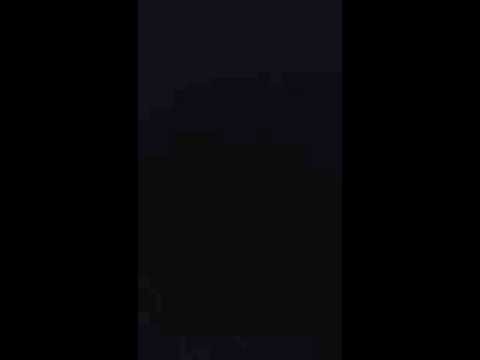 セルがライオンを歌ってみた