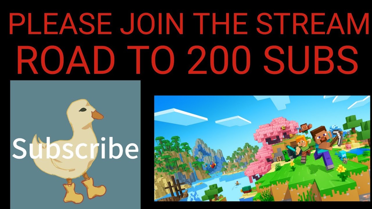 MINECRAFT LIVE STREAM - YouTube