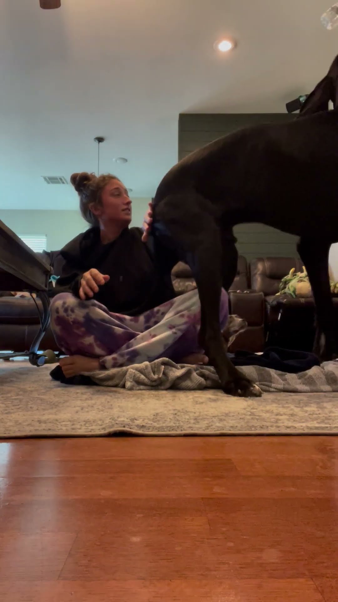 Great Dane Sits On Owner's Back || ViralHog