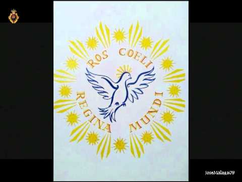Real, Ilustre y Venerable Hermandad Sacramental de Nuestro Padre Jesús Nazareno de los Pasos en el Monte Calvario y María Santísima del Rocío Coronada
