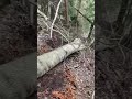 small orvex , tz4k14 , eletric winch