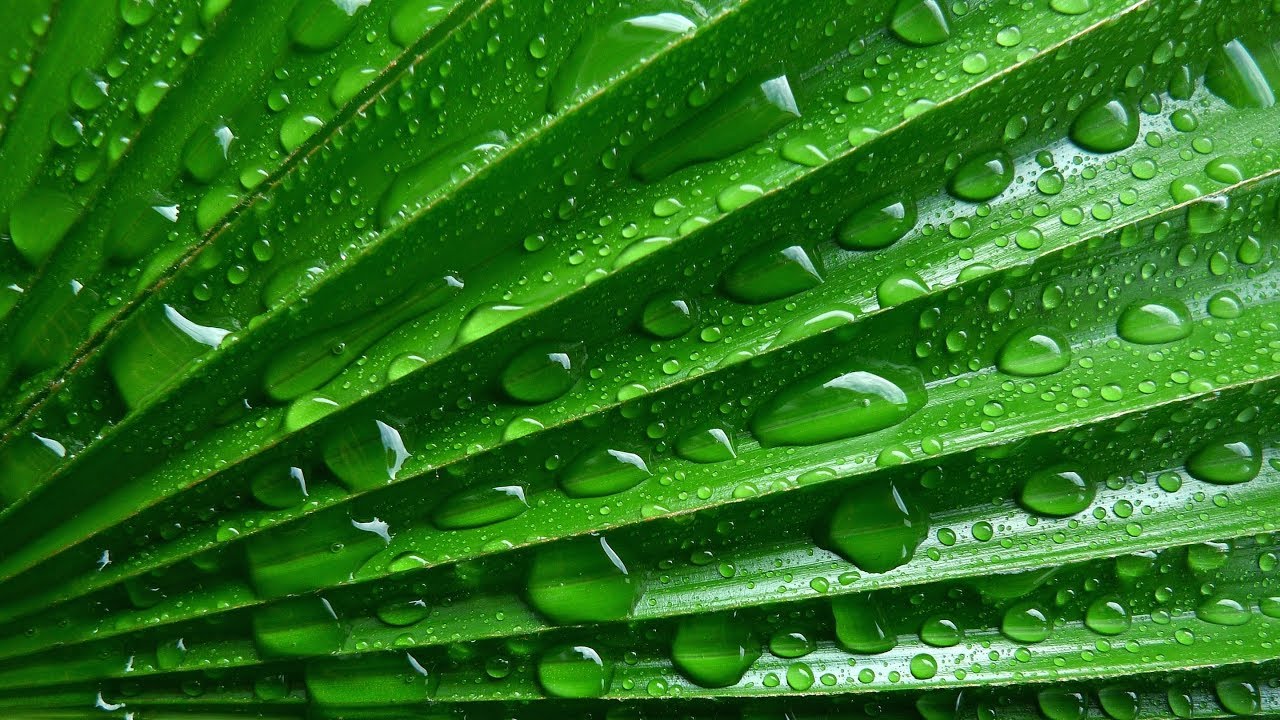 MBB - Fresh - Chill Lounge Cafe Featured Artist Track