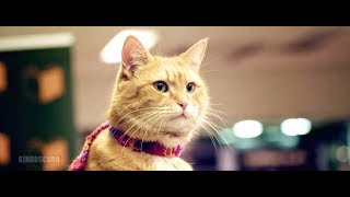 A Street Cat Named Bob 2016 - Ending Scene