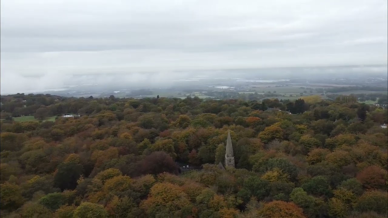 Epping forest drone view #2